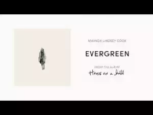 Amanda Lindsey Cook - Evergreen